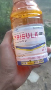 TRISULA 450SL Kemasan 100 ml/Insektisida Trisula 450SL Kemasan 100 ml/Obat Pengendali Hama Trisula