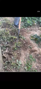 All steel manganese steel horticultural hollow small hoe lightweight weeding tool