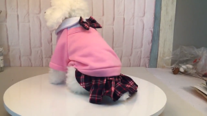 Baju Kucing/Anjing Pet School Uniform/Pakaian Kucing