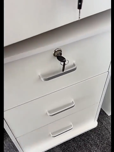 Finelife 3-Layer File Cabinet & Office Storage Solutions