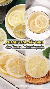 Chanh vàng sấy thăng hoa 100g (Trà chanh vàng detox giải khát thanh nhiệt) - Chợ thảo dược việt