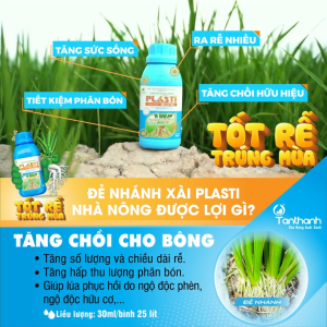 Thuốc điều hòa sinh trưởng PLASTIMULA 1SL kích thích ra rể nở bụi ngâm giống.