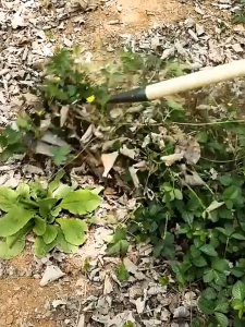 4.6.8 teeth Agricultural weeding manganese steel tooth rake ploughing nail rake flat land loosening rake