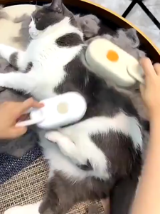 3IN1 Pet Electric Spray Comb: A Comprehensive Guide