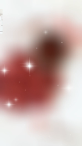 Táo Đỏ Sấy Tân Cương 250gram 500gram - Tăng cường sức khỏe