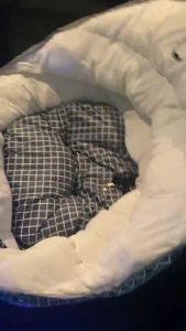 Dog Bed Car Pet Mat Dog House Pet Bed Cat Bed Cat Nest Sleeping Car Mat Puppy Kitten Pet Cushion Pet Sofa Dog Nest Cat House