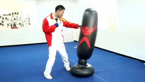 Trụ Đấm Bốc Tự Cân Bằng Pro X1 Phiên Bản Cải Tiến Cao Cấp Phản Xạ Nhanh Ưu Việt Hơn Tặng Kèm Bộ Bơm Hơi Chính Hãng Amalife