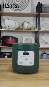 BS BOSS mini rice cooker with small capacity household electric cooker are available low sugar rice cooker
