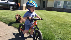 Strider 12 Sport Balance Bike