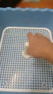 Large Pet Toilet Tray Puppy Training Pad High Wall | Tandas Haiwan Anjing Kucing (RANDOM COLOR)