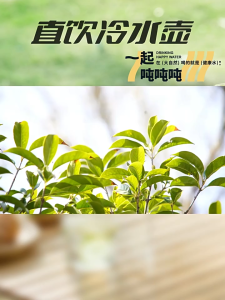 🏷️ Dispenser Air Mini 2.3L/3.5L | Mini Water Jug | 小型移动水壶 带龙头