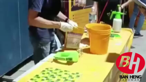 3.5KG SIKA WHITE GROUT FLOOR AND WALL WHITE TILE GROUT