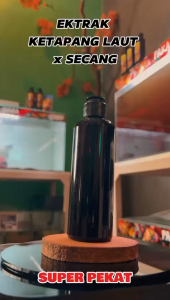 EKSTRAK KETAPANG LAUT X SECANG EL BARCA Treatment Booster Channa Cupang