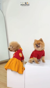 POMAPOO - Baju Kucing dan Baju Anjing Hokben Dress Dan Shirt
