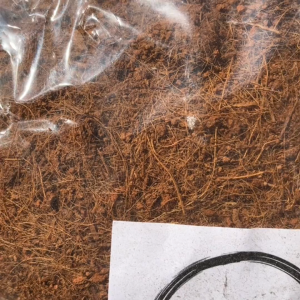 (SG Seller) Coconut Husk Fiber (Usagi) 500g Well Drain Planting Media