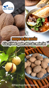 Nhục đậu khấu khô 500g nutmeg hạt to gia vị nấu ăn hỗ trợ tiêu hóa giảm đau nhức xương khớp