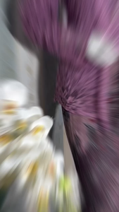 KEBAYA BROKAT KUTUBARU