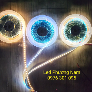 Led Dây 12v dài 5m 240led DC 12v (Trắng Vàng Trung Tính) chưa bao gồm nguồn