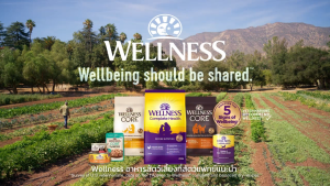 [ลดล้างสต๊อก Short Expired] WELLNESS CORE อาหารสุนัขพรีเมี่ยม มีให้เลือกหลายสูตรทุกช่วงวัย ( สุนัขเด็ก - สุนัขโต )