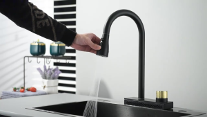 Kran Angsa Tarik Keran Air Sink Bak Cuci Piring Wastafel Panas Dingin Waterfall Carlo Fiotini CF0090 Keran Sink Stainless Steel Tapware Kitchen Chrome Abu Hitam - Lazada