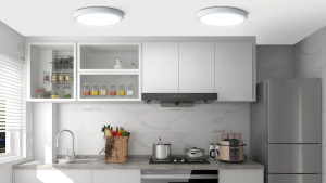 LED Ceiling Light Surface Mount Downlight Square /Round Panel Lamp 10/15/20/30W Ceiling Lights For Bedroom Hotel Kitchen Corridor Lighting