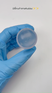 ซิลิโคนเฟร้นปลายเล็บ พร้อมส่งทุกวัน แท่งปั๊มซิลิโคลนปลายเล็บ พร้อมแผ่นเกลี่ยสี ที่ปั๊มเล็บ ตัวปั๊มเล็บ ยืดหยุ่นสูง Nail Art Stamper