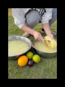 2IN1 Multifunctional Stainless Steel Potato Cucumber Carrot Grater and Peeler 削皮刀 切丝刀