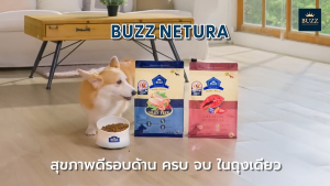 Buzz Netura อาหารสุนัขพรีเมี่ยมโฮลิสติก-เกรนฟรี มี 2 สูตร สำหรับสุนัขโตและสุนัขโตพันธุ์เล็ก 10 กิโลกรัม