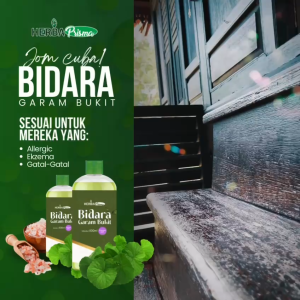 Gel Mandian Herba Daun Bidara Lux Untuk Masalah Angin  Sakit badan  Lesu  Masalah Kulit  Strees  Dan Pelbagai Khasiat Pada Bidara 500ML