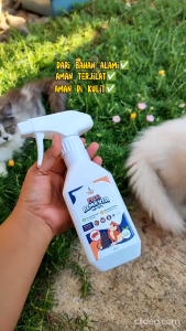 RACOON ANTI KUTU ANABUL 300ml