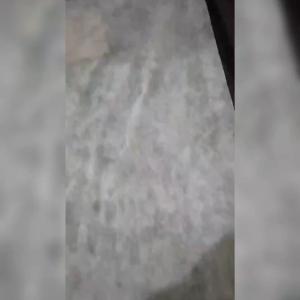 Kertas Tisu Ulet Kuat 16x1m Singkong Pohong Telo Jahit Japan