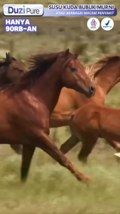 Duzi Pure - Susu Kuda Lombok Bubuk 100% Original 200 Gram 2 Box