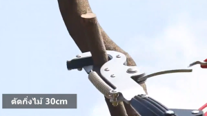 【ไม่ขึ้นสนิม 100%】กรรไกรตัดกิ่ง พร้อม ใบเลื่อย กรรไกรตัดกิ่งไม้ สำหรับตัดกิ่งไม้สูง ด้ามไสลด์ได้ยาว 3/4.5 เมตร มีรอกช่วยผ่อนแรง ใบ SK5 กรรไกรตัดกิ่งด้ามยาวพร้อมเลื่อย กรรไกรตัดกิ่งสูง กรรไกรตัดกิ่งไม้สูงพร้อมด้าม