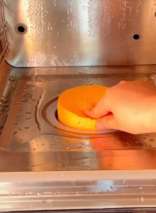 Sponge Steamer steam Combi Oven Cooker Microwave bersih Cleaning Oven Dishwash kitchen kitchenware dapur span masak stim