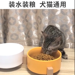 Cute Q Cat bowl cat bowl ceramic dog bowl ceramic pet bowl  850ML pet food bowl  dog/ 15.5cm food bowl猫碗 貓碗陶瓷