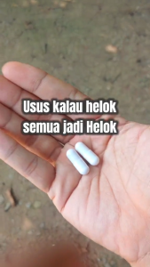 Probiotic Supplements - Support Gut Health - Immunity - Provide Overall Wellbeing - Improve Digestion