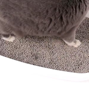 12 LITER PASIR KUCING GUMPAL WANGI LEMON - PESONA PREMIUM 6 LITER