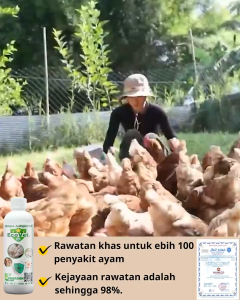 [Big Save] Ecovet 1000g - Probiotic Supplement Powder Mahahalagang Nutrisyon para sa mga Hayop Manok...