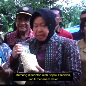 Mori Tea Bags Teh Daun Kelor 20 Bags