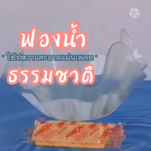 (ฟองน้ำ)ฟองน้ำเช็ดหมึก ฟองน้ำทำความสะอาดเพลท ฟองน้ำเช็ดเพลท Spontex Viskovita Sponge ฟองน้ำธรรมชาติ ฟองน้ำถูเพลท