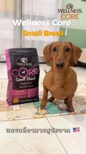 อาหารสุนัขพรีเมี่ยม WELLNESS CORE สูตร Small Breed สูตรเฉพาะสำหรับพันธุ์เล็ก เม็ดเล็กทานง่าย ช่วยขัดฟัน ขนาด 4lb(1.8kg)  12lb(5.4kg)