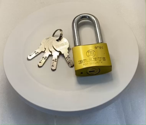 KHOÁ MÓC CỬA BRABUS 50mm CÀNG DÀI_GT50L CHÌA