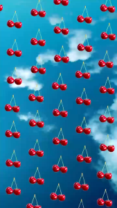 Moleskine 12M Undated Weekly and Monthly Life Planner XL