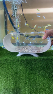 Aquarium set lengkap depan belakang kaca akrilik bening transfaran lengkap dengan mesin filter dan lampu LED (AK01)