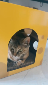 Cat Toy House Indoor Cats Scratching Board Scratch Board Corrugated Cardboard Yellow Cheese Box Scratcher Sleeping Bed