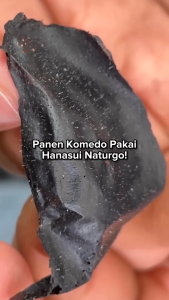 HANASUI Naturgo Lightening Peel Off Mask Tube 60g - Masker Lumpur