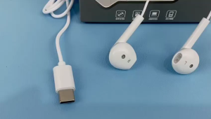 Lenyes LF67 Earphone Type C Super Bass Hifi Stereo Surround with Microphone Volume Control Original