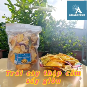 Trái cây thập cẩm sấy giòn 500g Thực phẩm H.Đ