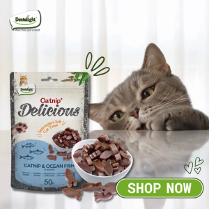 Dentalight Catnip Delicious Healthy Cat Treats with Fish Oil and Taurine 3 Flavors Available 50g