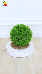 Bola Rumput Plastik Hijau Dekoratif 23cm Gaya Internasional B8215